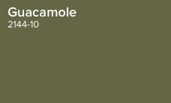 guacamole