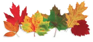 fall painting projects