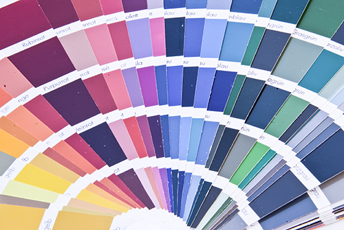 a fan of color chips