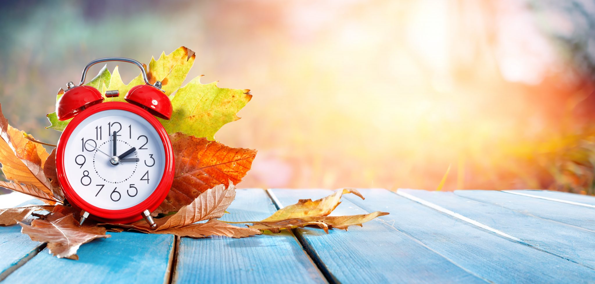 winterize your home